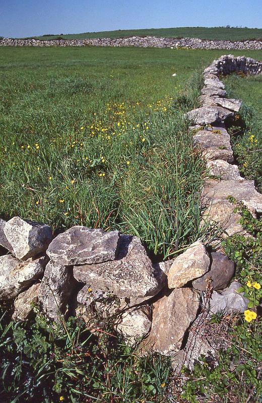 WT 2200 302-34 Portugal.jpg